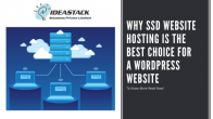 Why SSD Website Hosting Is the Best Choice for a WordPress Website