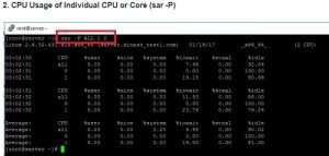 CPU Usage of Individual CPU or Core