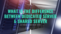 What is the difference between dedicated server & shared server?