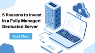 5 Reasons To Invest In A Fully Managed Dedicated Server 