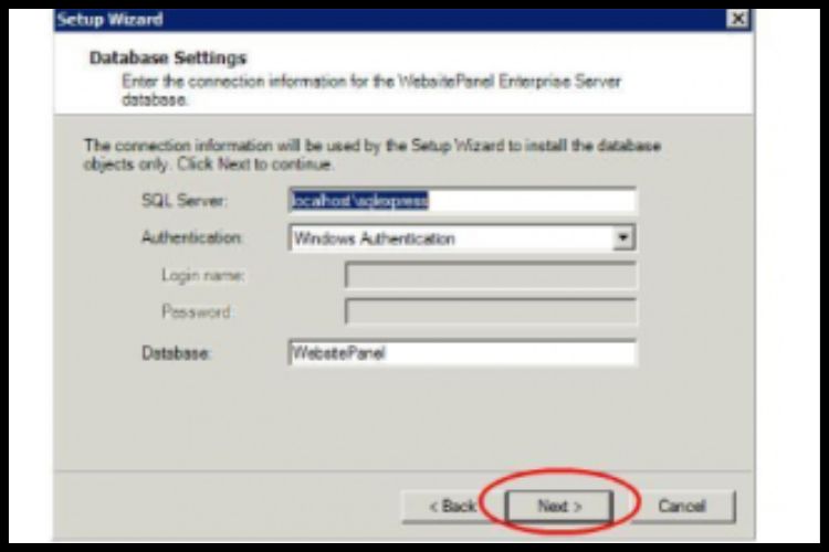 The SQL Server Database settings