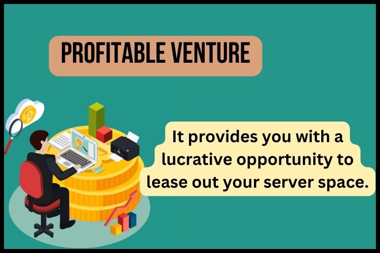 Reseller hosting Profitable Venture