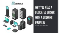 Major Reasons Why Dedicated Server Is Best For Your Growing Business. 