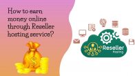 How To Earn Money Online Through Reseller Hosting Service?