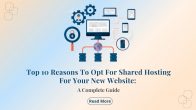 Top 10 Reasons To Opt For Shared Hosting For Your New Website: A Complete Guide