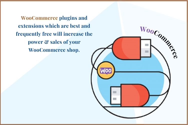 Plugin and extension woocommerce