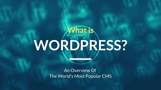 What is WordPress? An Overview of the World’s Most Popular CMS
