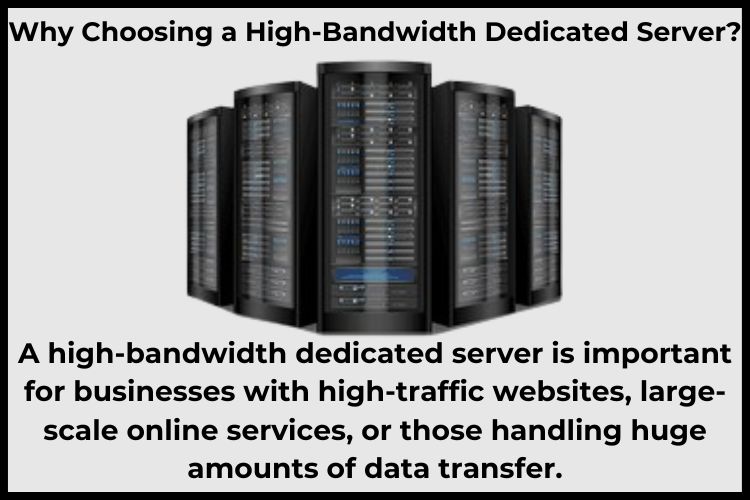 High Bandwidth Dedicated Servers